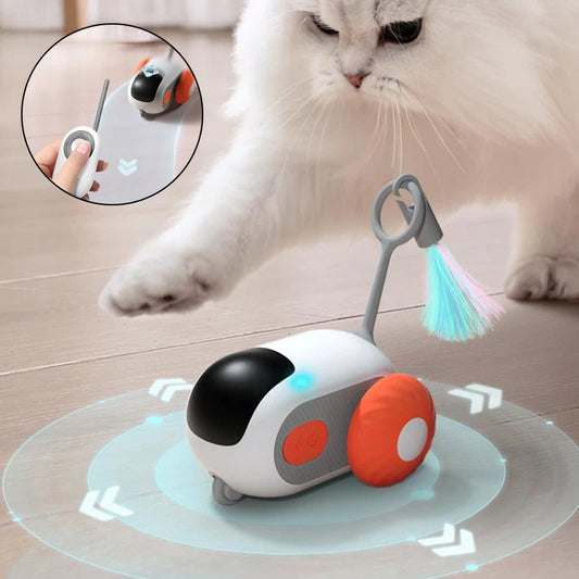 Magnificent Remote Control Interactive Toy for cats