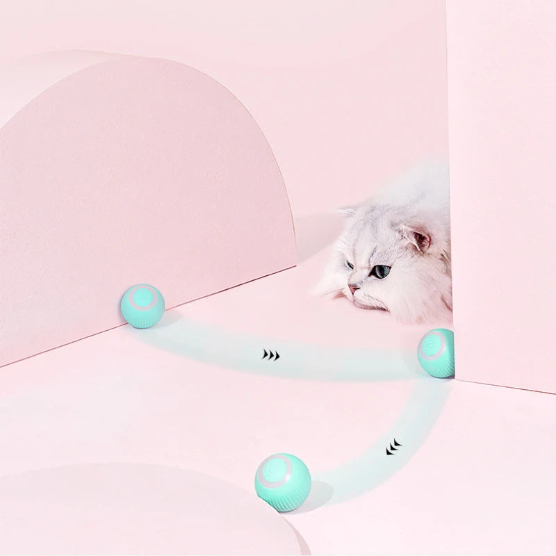 Magnificent Remote Control Interactive Toy for cats