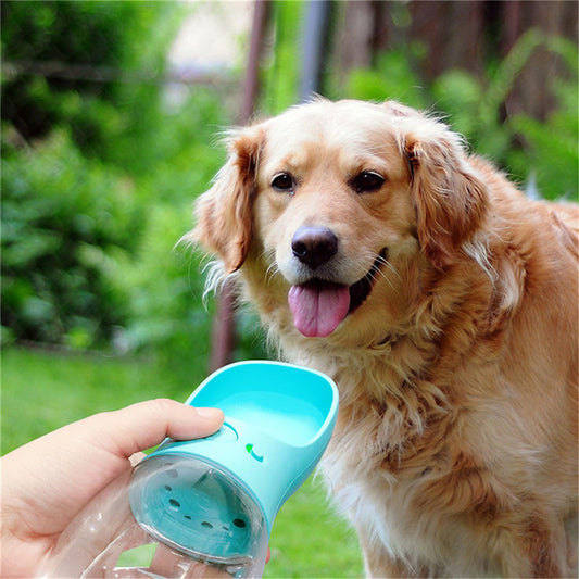 Outdoor Portable Water Bottle for pets