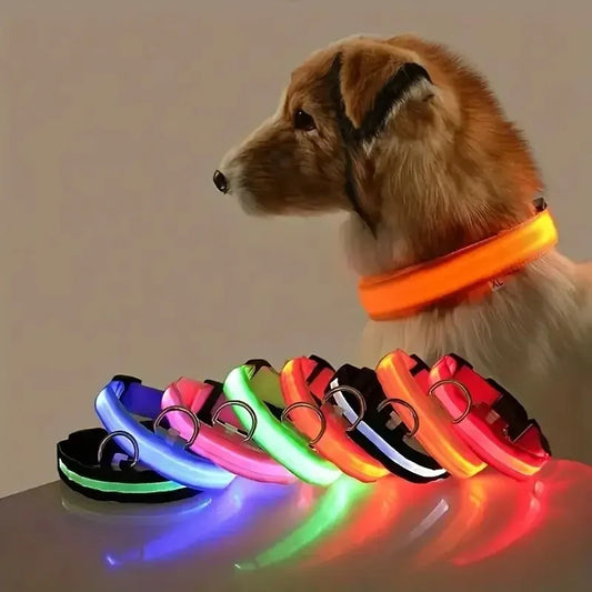 Incredible LED Night Safety Dog Leash Dogs - Mortekk