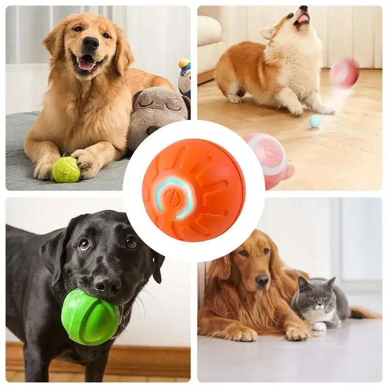 Intelligent Automatic Pet Rolling Ball - Pets