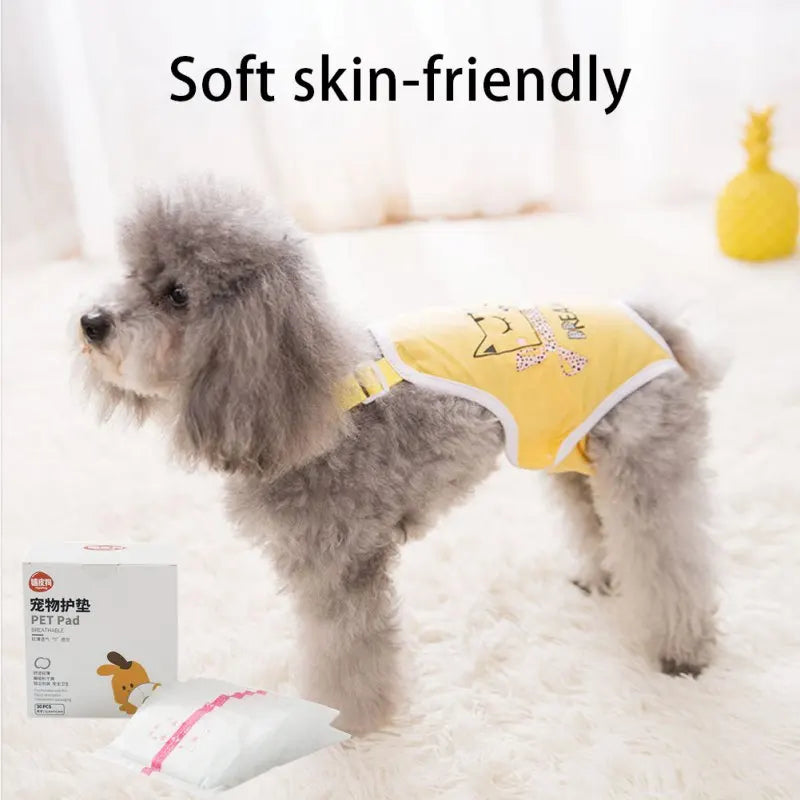 Amazing Female Disposable Dog Diapers