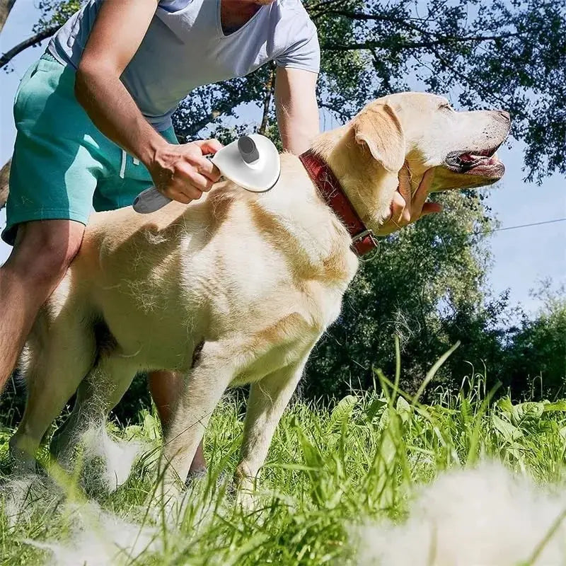 Self Cleaning Pet Hair Remover Brush - Dogs and Cats - Mortekk