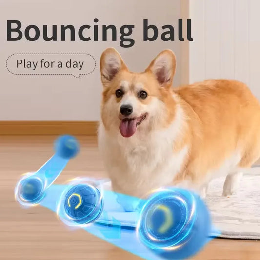 Intelligent Automatic Pet Rolling Ball - Pets