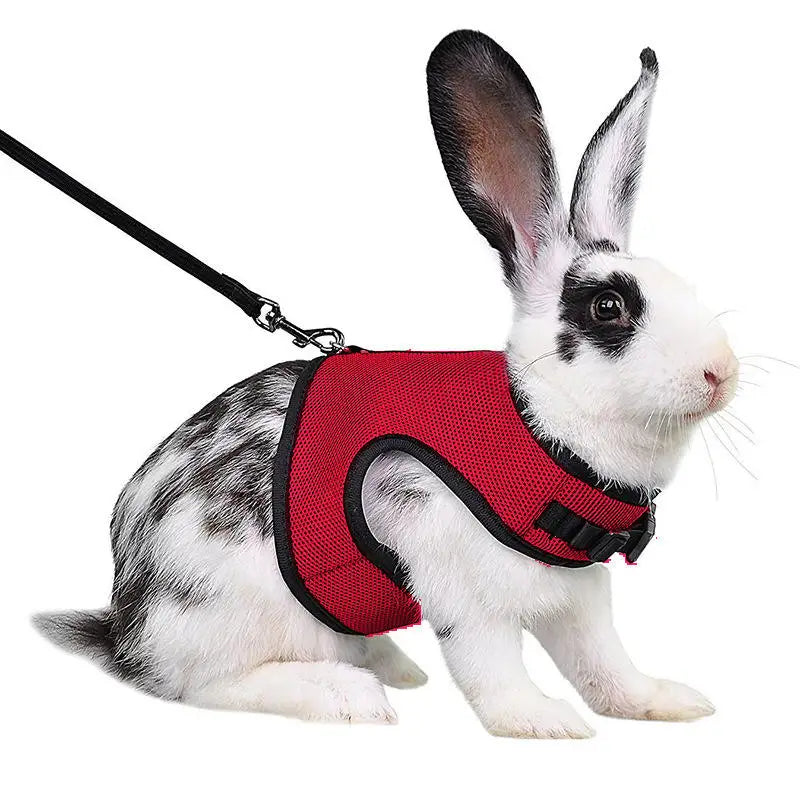 Beautiful Multi-Colors Breathable Stylish Vest - Rabbits - Mortekk