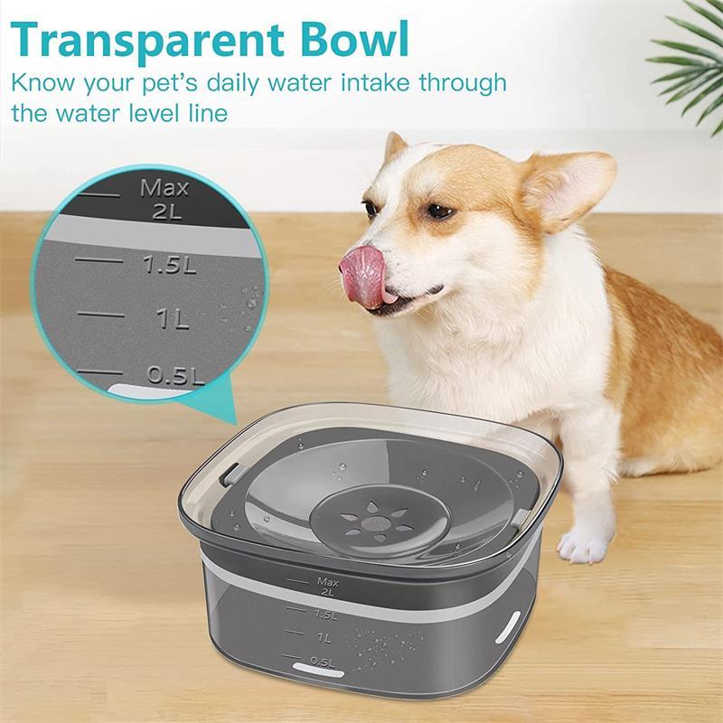 Awesome Dog Water Bowl - Mortekk